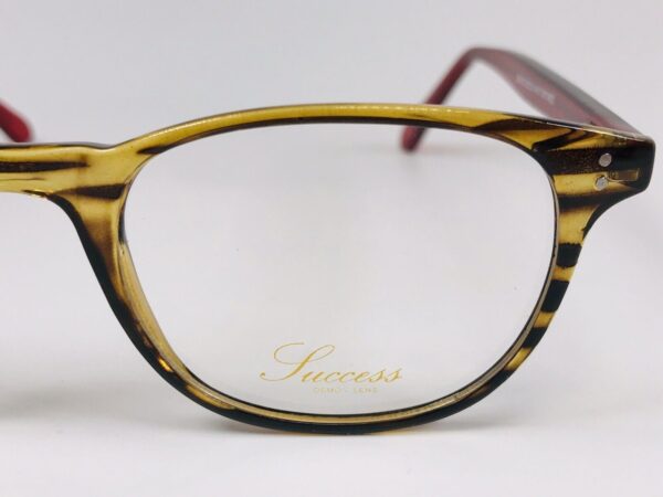 Lens Of The Designer Inspired SUCCESS SS-102 Eyeglasses 50mm