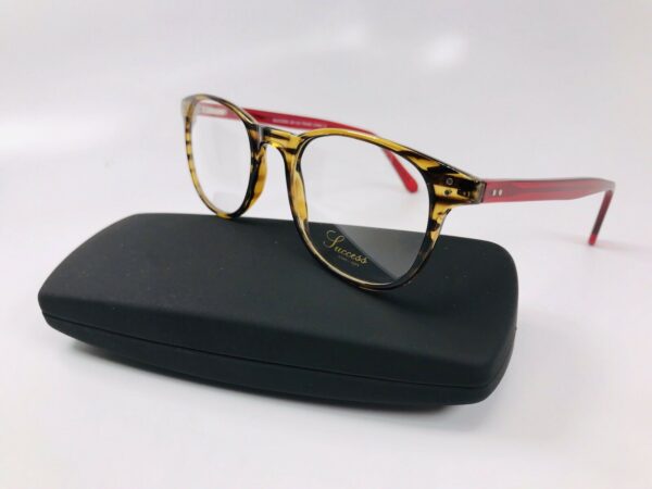 Designer Inspired SUCCESS SS-102 Eyeglasses 50mm and a case