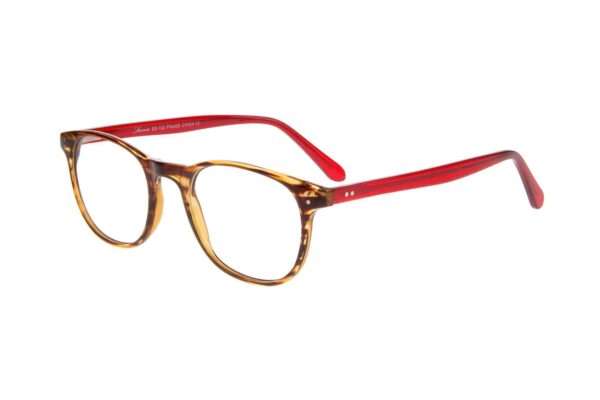 SUCCESS SS-102 Tortoise and Red Eyeglasses 50mm